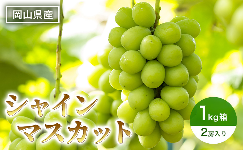 ぶどう シャインマスカット 1kg 箱 2房入り 岡山県産 葡萄 フルーツ 果物 2024年 先行予約