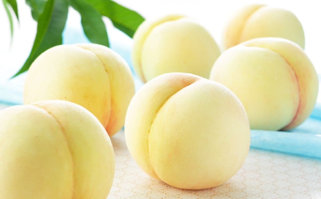 岡山白桃 エース 3玉×約250g （ 2Lサイズ ） 岡山県産 白桃 桃 もも モモ くだもの 果物 果実 フルーツ 国産 ギフト 贈り物 【 2026年7月上旬～8月下旬発送予定 】