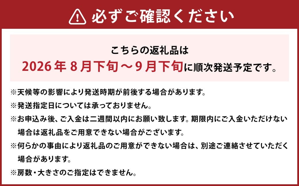 【先行予約】 岡山県産 ニューピオーネ 2kg 1箱 ／ ぶどう ブドウ フルーツ 【2026年8月下旬-9月下旬発送予定】 