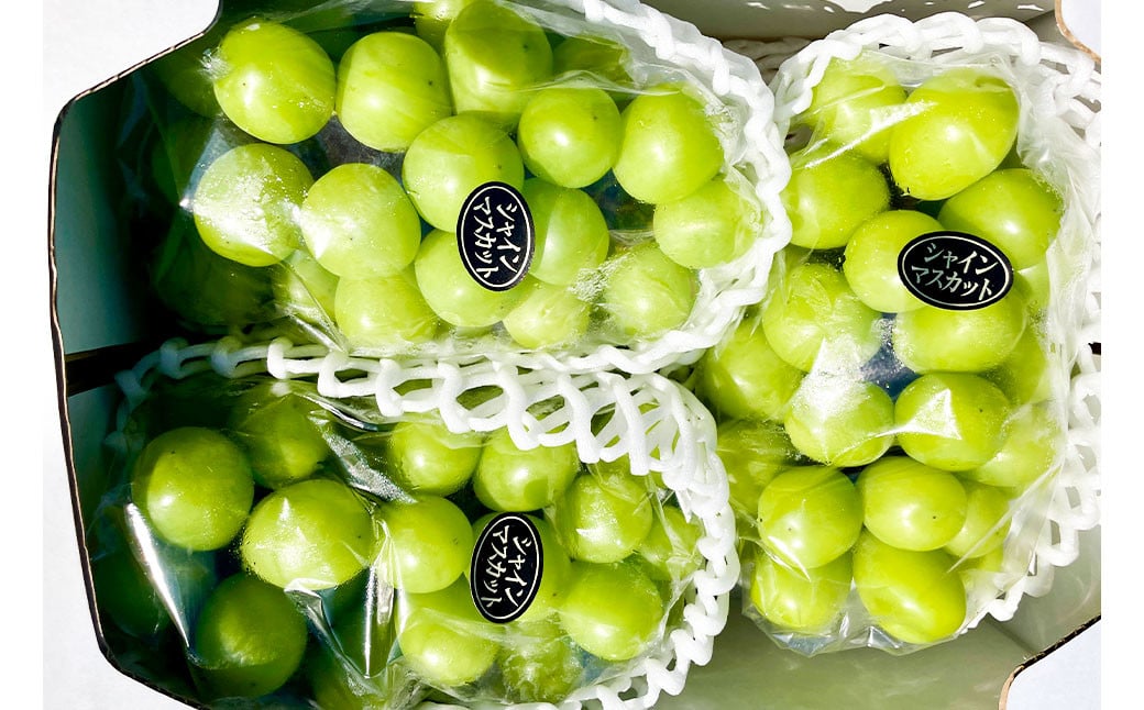 大粒 シャインマスカット 2～4房 計約2kg 【2025年10月上旬～12月上旬発送予定】 ／  マスカット 葡萄 ブドウ 種無し 種なし