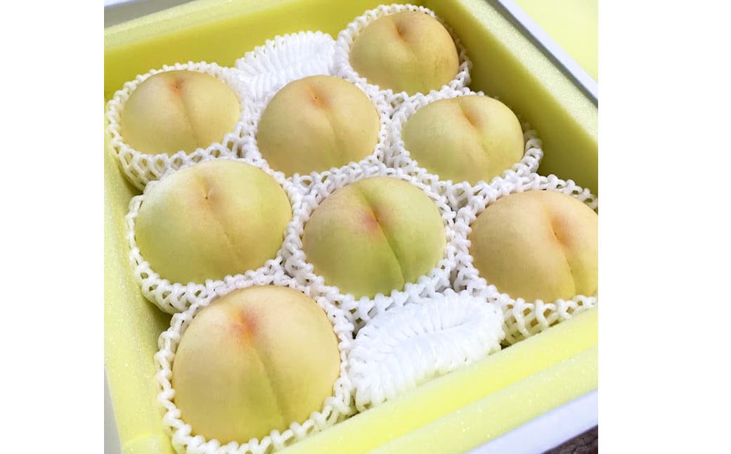 【先行予約】 とろける果肉とたっぷり果汁の岡山の白桃・清水白桃 1.5kg箱（約4個～6個） 【2025年7月下旬～2025年8月上旬発送予定】 ／ 桃 もも モモ はくとう しみずはくとう 果物 くだもの フルーツ デザート 冷蔵