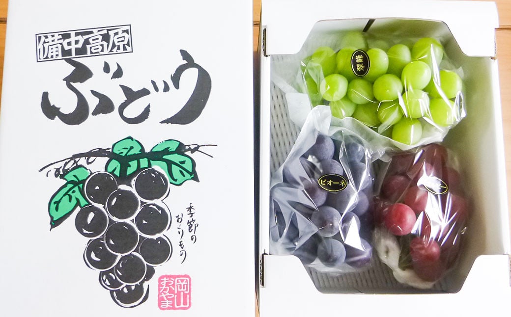 訳あり 大粒 ぶどう 3種 セット 3～4房 計約1.8kg シャインマスカット・ピオーネ等 おまかせ 【2025年10月上旬～12月上旬発送予定】 ／  マスカット ピオーネ 葡萄 ブドウ 種無し 種なし