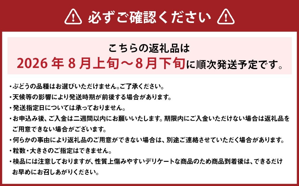 おまかせぶどう 3品種 詰め合わせ 2kg（3～6房） 【2026年8月上旬から8月下旬頃発送予定】 ／ くだもの 果物 果実 フルーツ ブドウ 葡萄 マスカット 冷蔵 岡山県 美咲町