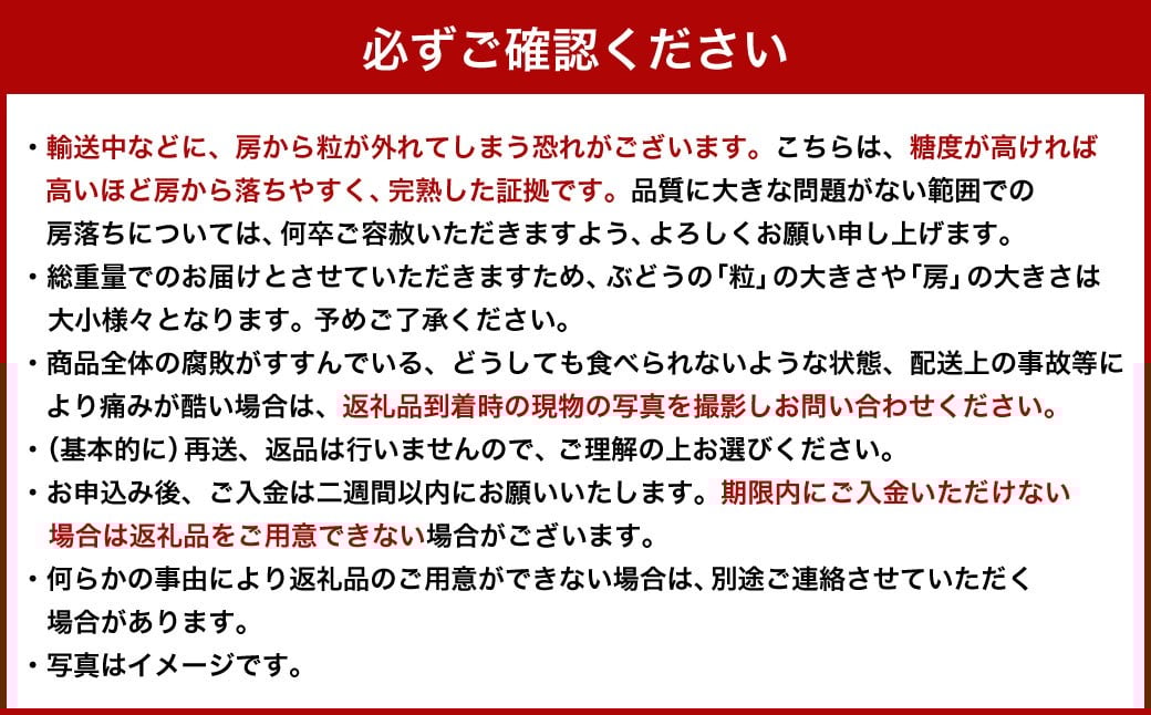 【ご 家庭 用】 シャイン ＆ ピオーネ 1.2キロ 【 2026年9月上旬から10月上旬頃発送予定 】 ／ 果物 くだもの フルーツ ぶどう ブドウ 葡萄 シャインマスカット 食べ比べ セット 大粒 甘味が強い 甘い 果汁 食べ応え 岡山県 美咲町