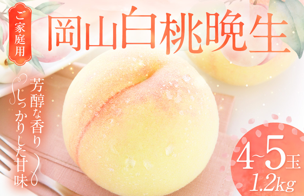 【ご家庭用】 岡山白桃 晩生 4～5玉 計約1.2kg 【2026年8月下旬発送予定】 ／ 白桃 桃 もも モモ