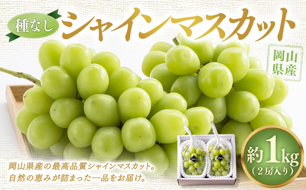 【種なし】岡山県産 シャインマスカット 計約1kg箱 2房入り マスカット ぶどう ブドウ 葡萄 フルーツ 種無し【2026年10月上旬-11月下旬発送予定】