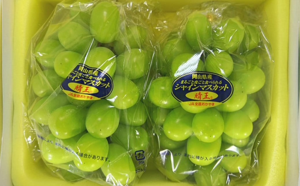 【2回定期便】岡山県産 フルーツ定期便コース（白桃 ・ シャインマスカット 晴王） 【2026年7月上旬発送開始】 ／ 2回 桃 もも マスカット 葡萄 ぶどう 果物 果実 フルーツ 旬 定期便 岡山県 美咲町 冷蔵