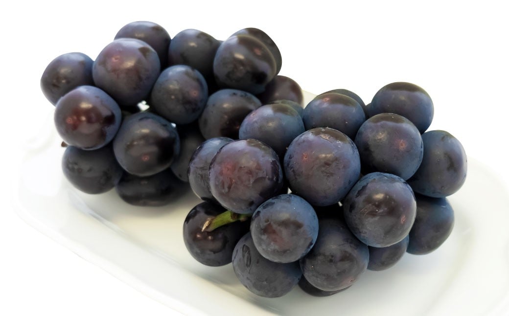 【ご 家庭 用 】 オーロラブラック 2～3房 1.2kg 【 2026年9月上旬から10月上旬頃発送予定 】 ／ 果物 くだもの フルーツ ぶどう ブドウ 葡萄 大粒 甘味が強い 甘い 果汁 食べ応え 岡山県 美咲町