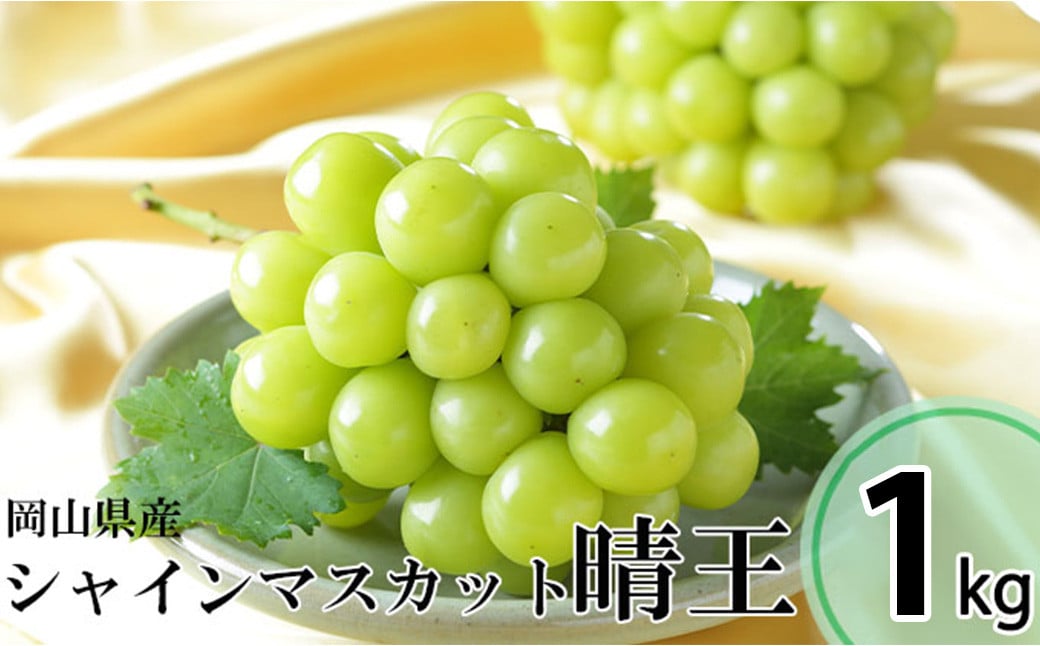 シャインマスカット 晴王 約500g×2房 （計約1kg） 【2025年8月下旬～11月下旬迄発送】 ／ マスカット 葡萄 ぶどう 果物 果実 フルーツ 種なし 皮ごと 大粒 岡山県 美咲町 冷蔵