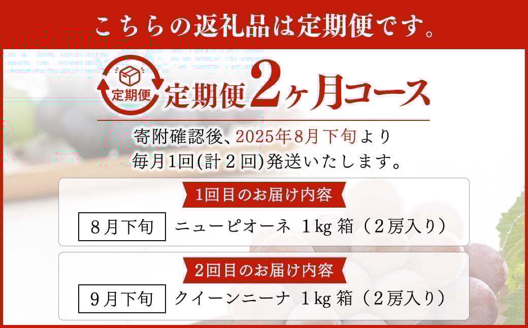 【定期便2回】 ［種なし］ 岡山県産 ニューピオーネ ・ クイーンニーナ 1kg箱（2房入り） 【2025年8月下旬発送開始】 ／ ぶどう ブドウ 葡萄 大粒 種なし 種無し フルーツ 果物 くだもの 果実
