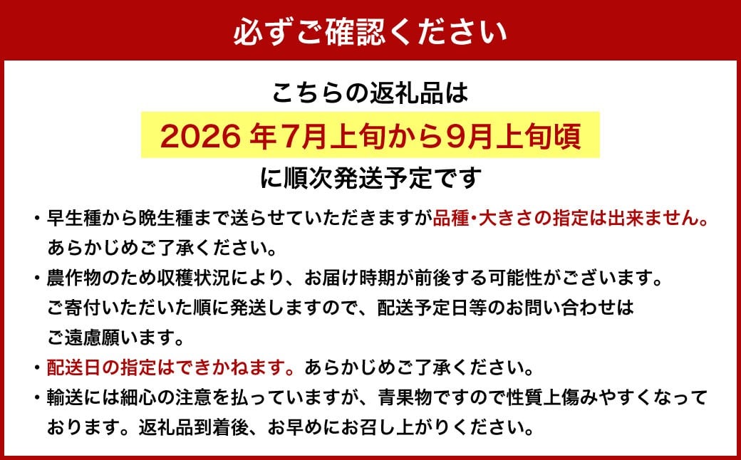 岡山 çœæ¡ 2çš® 2ç ïŒ ãã€ã€ã« ïŒ 500g ïŒ èš 1kg ïŒ ã 2026幎7æäžæ¬ãã9æäžæ¬é çºéäºå® ã ïŒ æç© ãã ãã® ãã«ãŒã ãã æ¡ çã éŠã æããã ãžã¥ãŒã·ãŒ çŸå³ãã 岡山ç çŸå²çº