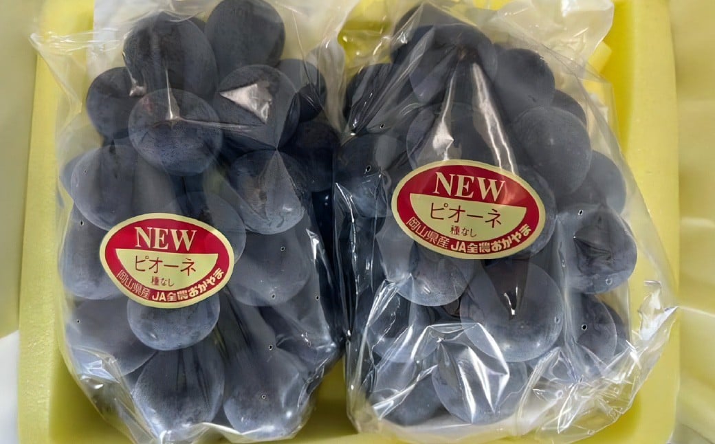 岡山県産 ニューピオーネ 4房 （1房480g以上） 約2kg 【2026年8月下旬-10月上旬迄発送予定】 ／ 葡萄 ぶどう 果物 果実 フルーツ 種なし 岡山県 美咲町 冷蔵