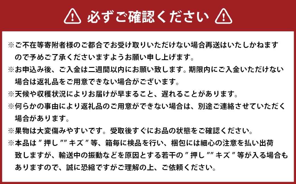ぼっけえ大粒 ニューピオーネ 1房 （800g以上） 化粧箱入り 【2026年9月上旬～10月上旬迄発送予定／ 葡萄 ぶどう 果物 果実 フルーツ 種なし 大粒 岡山県 美咲町 冷蔵