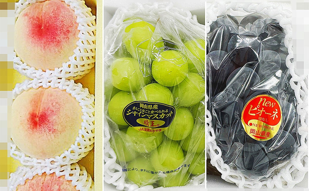 【全3回定期便】 岡山県産 フルーツ定期便 ＜お一人様向け＞ 【2026年7月上旬～9月下旬迄発送予定】 白桃 ピオーネ シャインマスカット 瀬戸内 果物 くだもの フルーツ ぶどう もも ブドウ モモ 葡萄 桃 岡山白桃 ニューピオーネ 晴王 化粧箱 贈り物 贈答用 ギフト プレゼント 定期 定期便 果実 定期配送