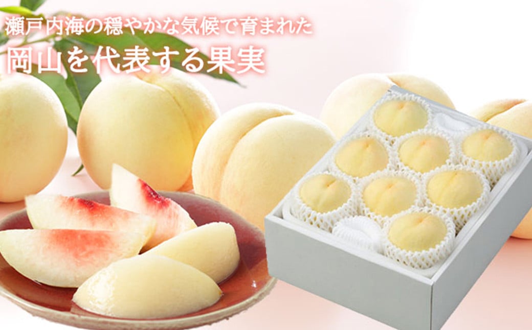 岡山白桃 エース 5～10玉 約2kg 岡山県産 （早生種・中生種） 【2026年7月上旬～8月下旬迄発送予定】 ／ 白桃 桃 もも 果物 果実 フルーツ 岡山県 美咲町 冷蔵