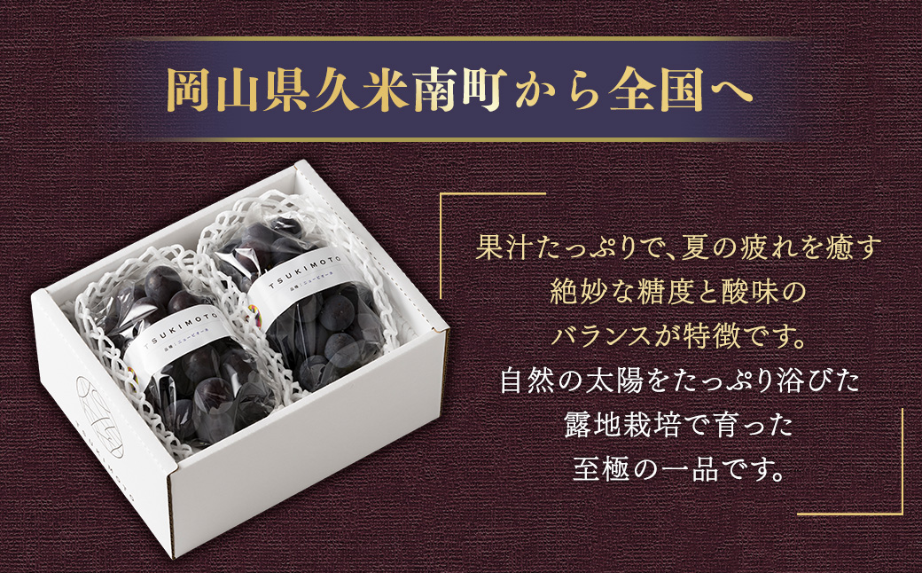 ニューピオーネ 1.2kg （2～3房）【2026年8月下旬-9月下旬発送予定】／ ぶどう 葡萄 果物 果実 フルーツ 種なし 大粒 甘味 岡山県 美咲町 冷蔵