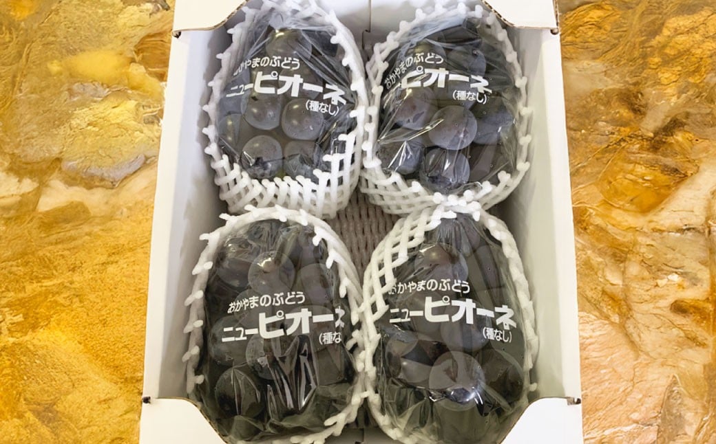 ぶどう 2026年 先行予約 ニュー ピオーネ 3～4房 合計2kg以上 【2026年8月下旬発送予定】 ／ ブドウ 葡萄 ニューピオーネ 岡山県産 国産 フルーツ 果物 ギフト 河本農園 岡山県 美咲町 冷蔵