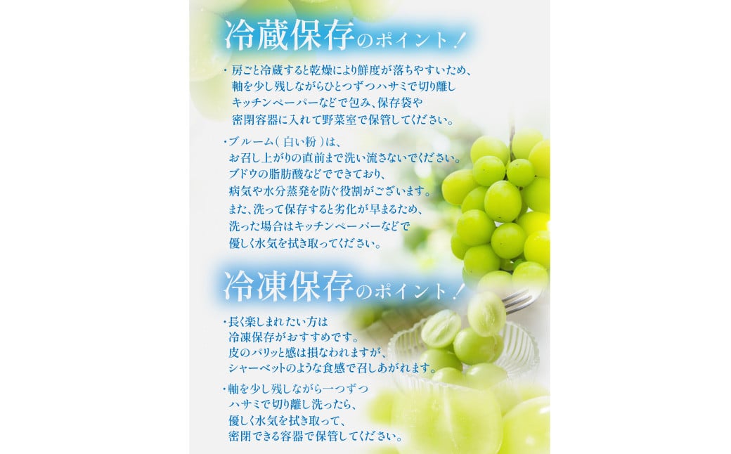 ã岡山çç£ã ã·ã£ã€ã³ãã¹ã«ãã çŽ600g ã2026幎9æäžæ¬ã11æäžæ¬çºéäºå®ã ïŒ ã¶ã©ã ãã㊠è¡è ãã¹ã«ãã çš®ãªã çš®ç¡ã ãã«ãŒã æç© ãã ãã® æå®