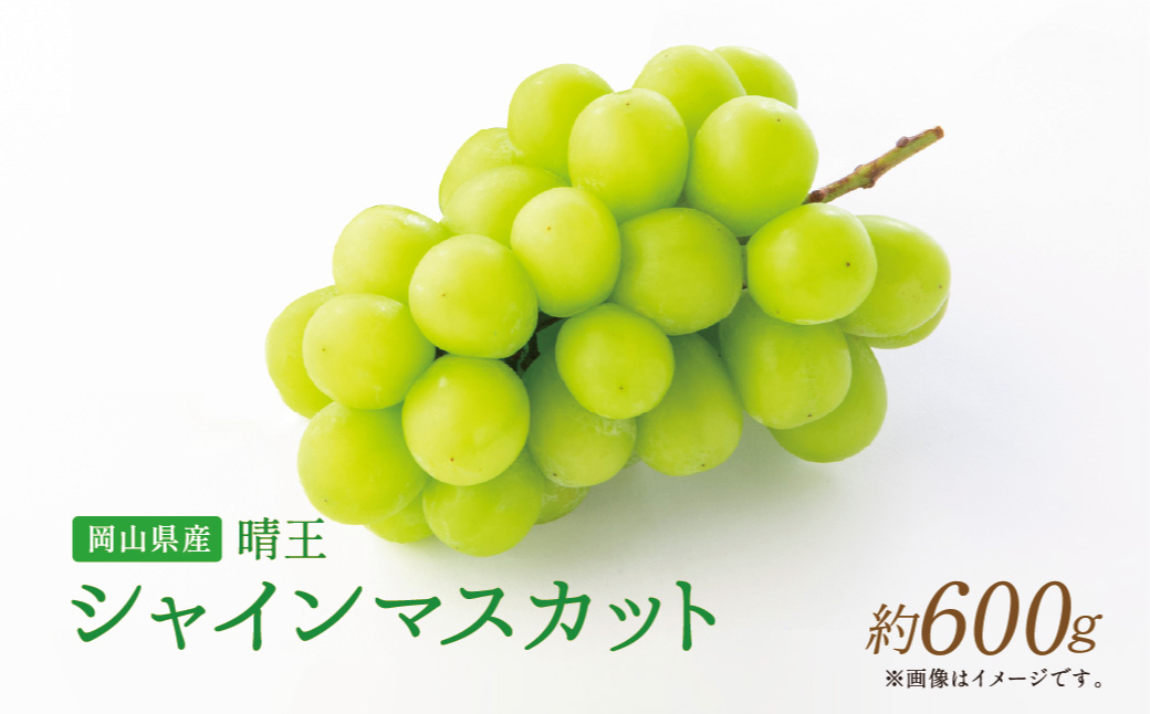 【岡山県産】 シャインマスカット 約600g 【2025年9月上旬〜11月下旬発送予定】 ／ ぶどう ブドウ 葡萄 マスカット 種なし 種無し フルーツ 果物 くだもの 果実