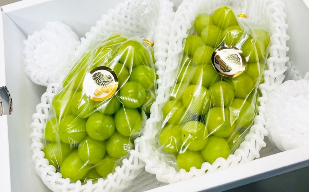 【先行予約】 岡山県産 シャインマスカット 2kg 1箱 ／ フルーツ 果物 くだもの 食品 人気 おすすめ 【2025年9月下旬-10月下旬発送予定】