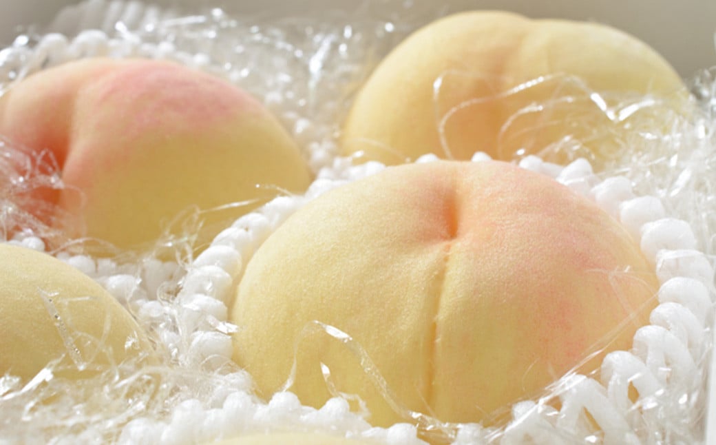 【2回定期便】岡山県産 フルーツ定期便コース（白桃 ・ シャインマスカット 晴王） 【2026年7月上旬発送開始】 ／ 2回 桃 もも マスカット 葡萄 ぶどう 果物 果実 フルーツ 旬 定期便 岡山県 美咲町 冷蔵