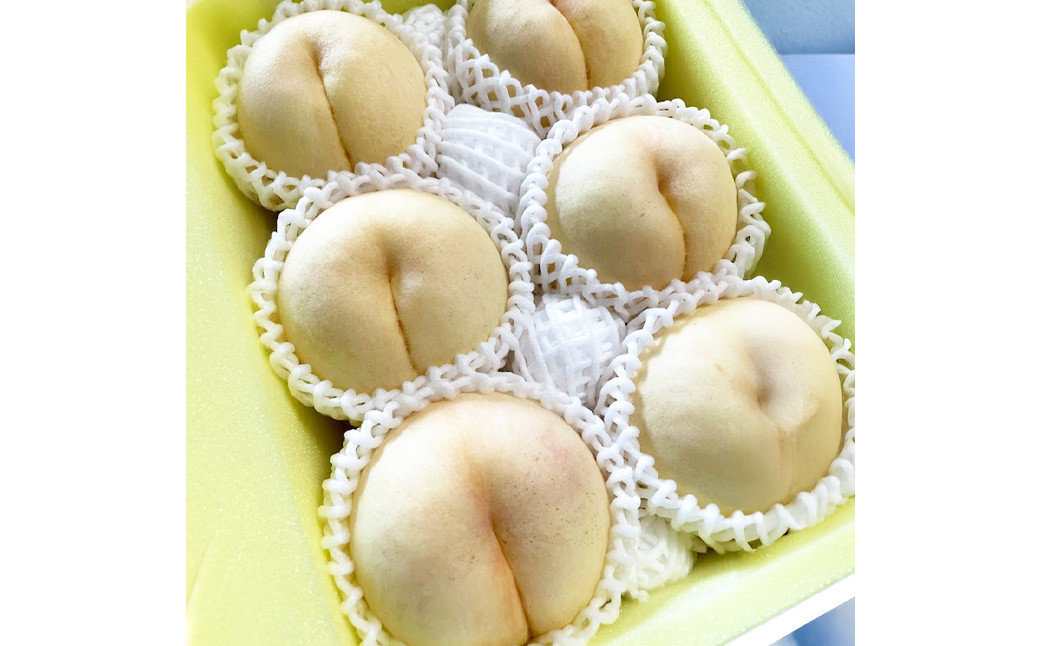 【先行予約】 希少品種 ・ 岡山の白桃 ・ 白露 2kg箱（約6個～9個） 【2025年9月発送予定】 ／ 桃 もも モモ はくとう はくろ 果物 くだもの フルーツ デザート 冷蔵