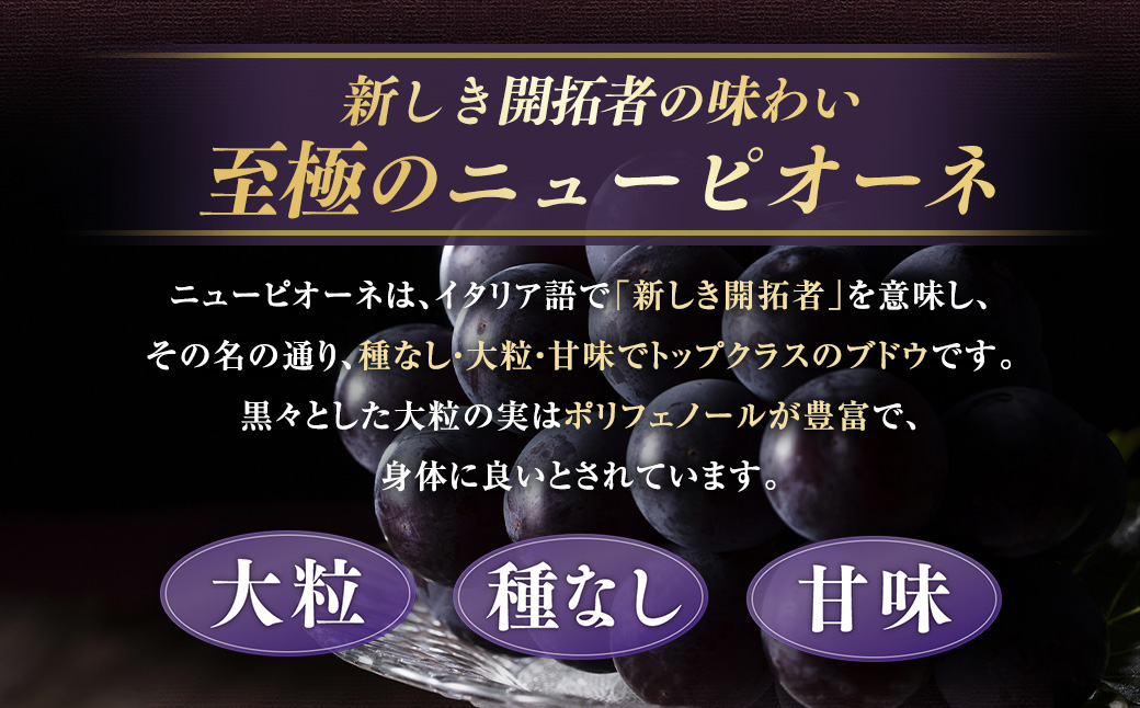 ニューピオーネ 1.2kg （2～3房）【2026年8月下旬-9月下旬発送予定】／ ぶどう 葡萄 果物 果実 フルーツ 種なし 大粒 甘味 岡山県 美咲町 冷蔵