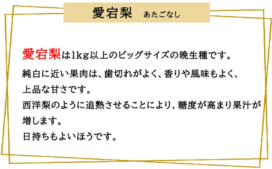 あたご梨 3～6玉 約4kg 【2026年11月下旬～12月下旬迄発送予定】 愛宕梨 梨 なし 和梨 果物 果実 フルーツ 大玉 岡山県 美咲町 常温