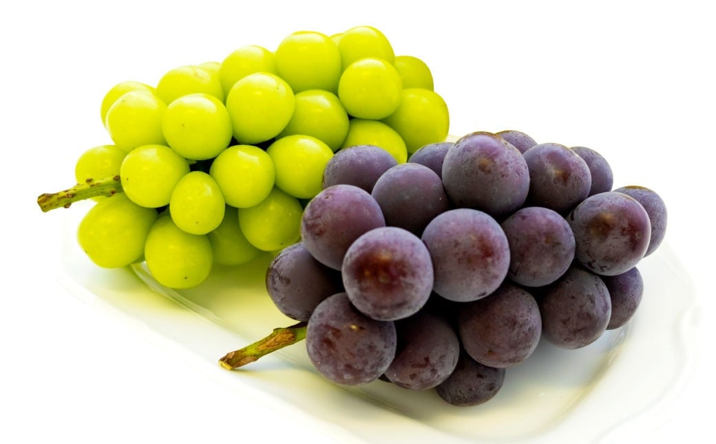 【ご 家庭 用】 シャイン ＆ ピオーネ 1.2キロ 【 2026年9月上旬から10月上旬頃発送予定 】 ／ 果物 くだもの フルーツ ぶどう ブドウ 葡萄 シャインマスカット 食べ比べ セット 大粒 甘味が強い 甘い 果汁 食べ応え 岡山県 美咲町