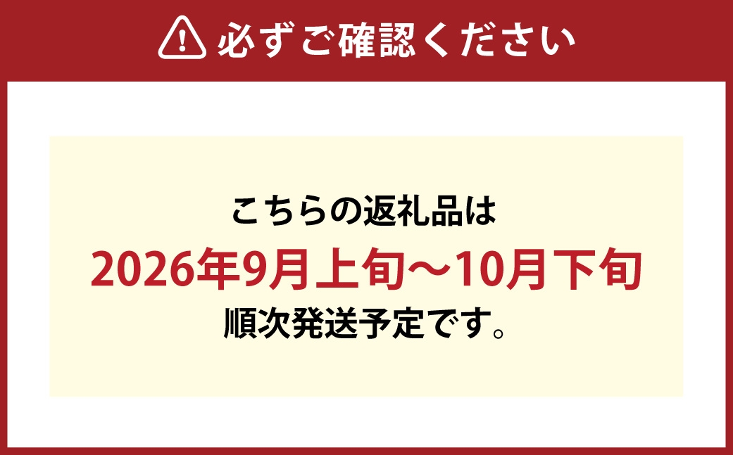 つる付き！ ニューピオーネ ＆ 晴王 シャインマスカット Cセット 露地栽培 ブドウ ぶどう 葡萄 果物 くだもの フルーツ 果実 マスカット 食べ比べ 【 2026年9月上旬～10月下旬発送予定 】