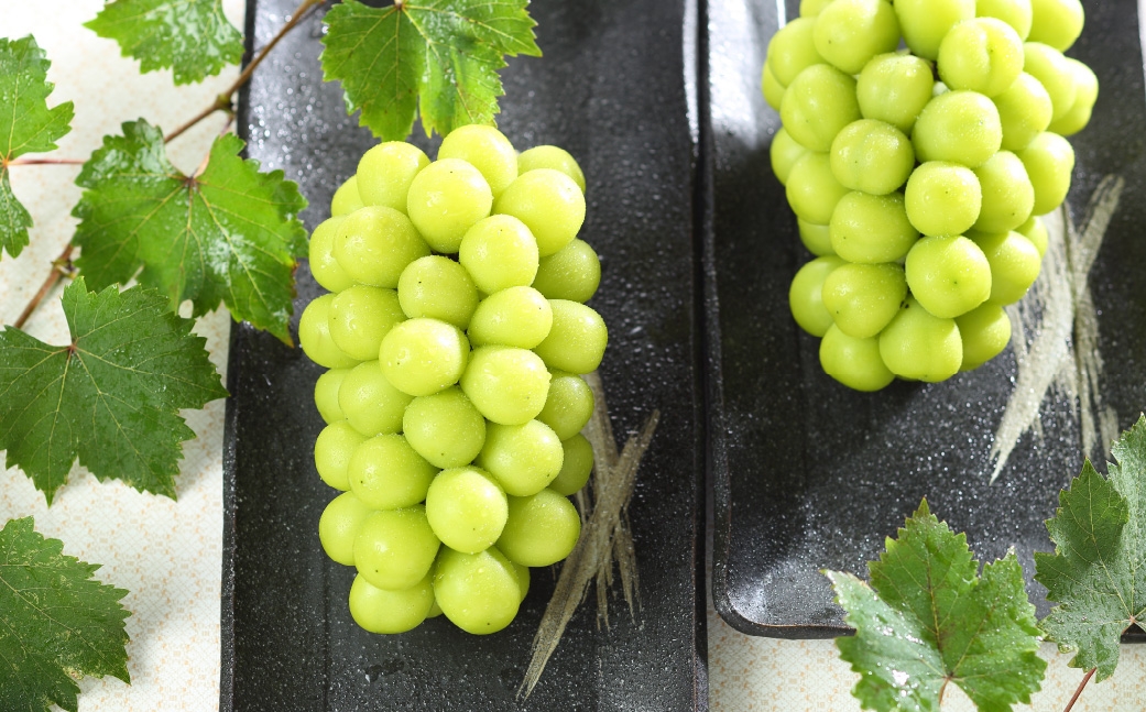 岡山çç£ ã·ã£ã€ã³ãã¹ã«ãã æŽç çŽ700g ïŒ 700gÃ1æ¿ ïŒ ã¶ã©ã ãã㊠è¡è ãã¹ã«ãã æç© ãã ãã® ãã«ãŒã åœç£ ã 2026幎8æäžæ¬ïœ11æäžæ¬çºéäºå® ã