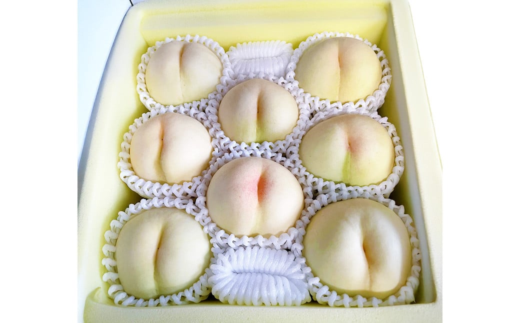 【先行予約】 とろける果肉とたっぷりの果汁の岡山の白桃・おかやま夢白桃 1.5kg箱（約4個～6個） 【2025年8月上旬～2025年8月下旬発送予定】 ／ 桃 もも モモ はくとう おかやまゆめはくとう ゆめはくとう 果物 くだもの フルーツ デザート 冷蔵