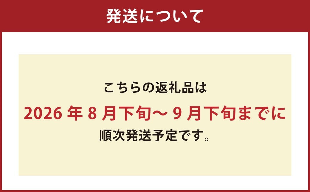 オーロラブラック 2房 （1房480g以上） 化粧箱入り 【2026年8月下旬～9月下旬迄発送予定】 ／ 葡萄 ぶどう 果物 果実 フルーツ 岡山県 美咲町 冷蔵