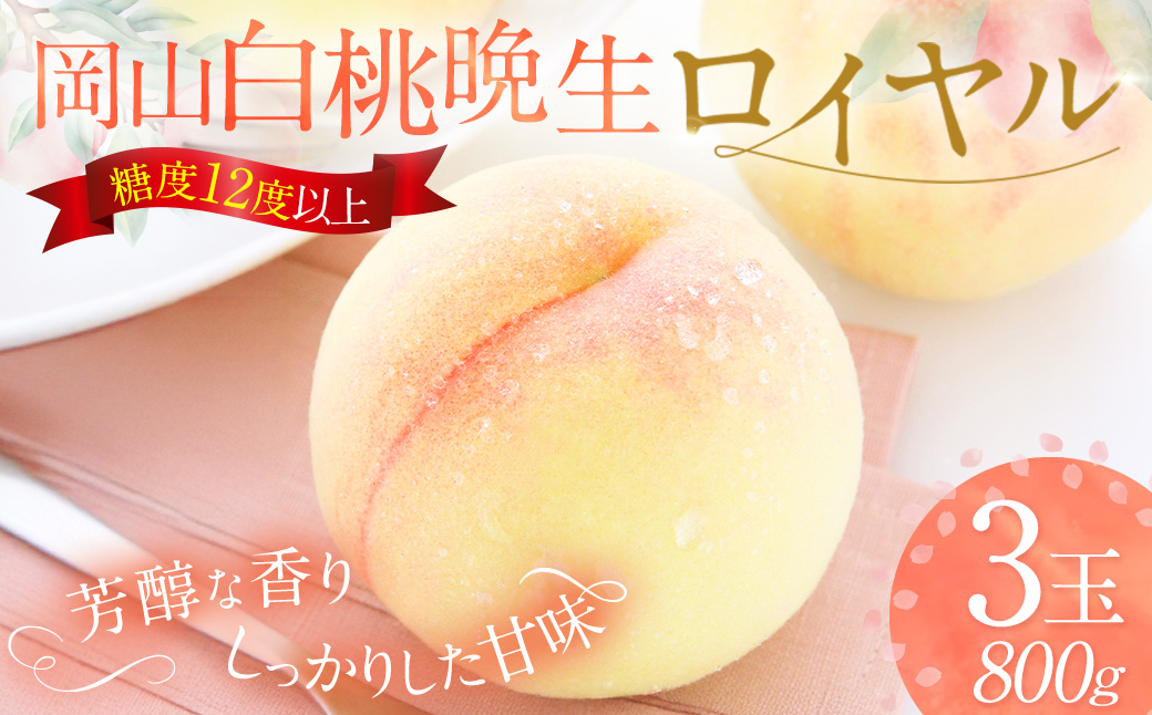 岡山白桃 晩生 ロイヤル 3玉 約800g 【2026年8月下旬発送予定】 ／ 白桃 桃 もも モモ