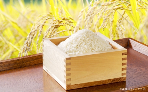 【 令和7年産 】 岡山県産 コシヒカリ 10kg （ 5kg × 2袋 ） お米 米 こめ 白米 白飯 飯 ご飯 おにぎり ブランド米 ブランド 国産 コメ