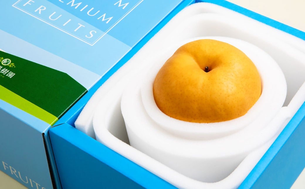 備前横綱梨 （あたご梨） 超大玉 1玉 約1kg〜1.4kg 贈答箱 ／ 愛宕梨 梨 なし ナシ 果物  【2025年11月下旬〜12月下旬発送予定】
