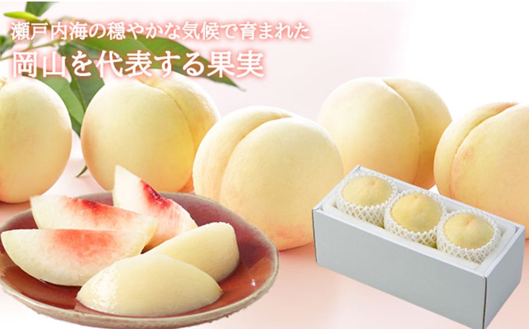 å²¡å±±çœæ¡ ãšãŒã¹ 3ç à çŽ200g èšçŽ600g 岡山çç£ ïŒæ©ççš®ã»äžççš®ïŒ ã2026幎7æäžæ¬ïœ8æäžæ¬è¿çºéäºå®ã ïŒ çœæ¡ æ¡ ãã æç© æå® ãã«ãŒã 岡山ç çŸå²çº å·èµ