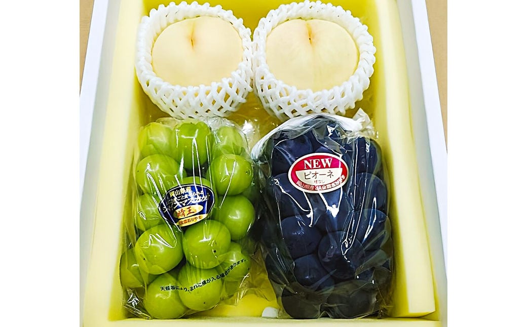 詰合 ／ 白桃 2玉（1玉220g以上） ・ ニューピオーネ 1房 （480g以上） ・ シャインマスカット 1房 （晴王 ・ 480g以上） 化粧箱入り 【2026年7月下旬～8月上旬まで発送予定】 ／ 桃 もも マスカット 葡萄 ぶどう 果物 果実 フルーツ 詰め合わせ 詰合せ 岡山県 美咲町 冷蔵