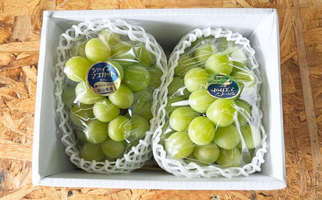 ã¶ã©ã 2026幎 å
è¡äºçŽ ã·ã£ã€ã³ ãã¹ã«ãã 2æ¿ åèš1.4kgä»¥äž ã2026幎9æäžæ¬ïœ9æäžæ¬çºéäºå®ã ïŒ ãã㊠è¡è ã·ã£ã€ã³ãã¹ã«ãã çš®ãªã ç®ã㚠岡山çç£ åœç£ ãã«ãŒã æç© ã®ãã æ²³æ¬èŸ²å 岡山ç çŸå²çº å·èµ