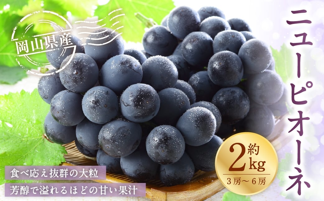 岡山県産 ニューピオーネ 約2kg （ 3房～6房 ） ぶどう ブドウ 葡萄 種なし 種無し くだもの 果物 果実 フルーツ 国産 【 2026年8月下旬～9月下旬発送予定 】