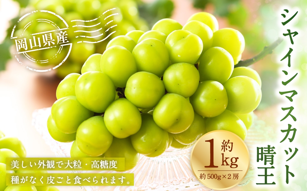 岡山県産 シャインマスカット 晴王 約1kg （ 約500g×2房 ） ぶどう ブドウ 葡萄 くだもの 果物 果実 フルーツ 国産 マスカット 【 2026年7月上旬〜8月下旬発送予定 】