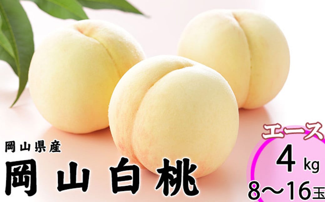 岡山白桃 エース 8～16玉 約4kg 岡山県産 （早生種・中生種） 【2026年7月上旬～8月下旬迄発送予定】 ／ 白桃 桃 もも 果物 果実 フルーツ 岡山県 美咲町 冷蔵