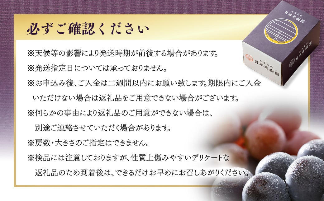 【定期便2回】 ［種なし］ 岡山県産 ニューピオーネ ・ クイーンニーナ 1kg箱（2房入り） 【2025年8月下旬発送開始】 ／ ぶどう ブドウ 葡萄 大粒 種なし 種無し フルーツ 果物 くだもの 果実