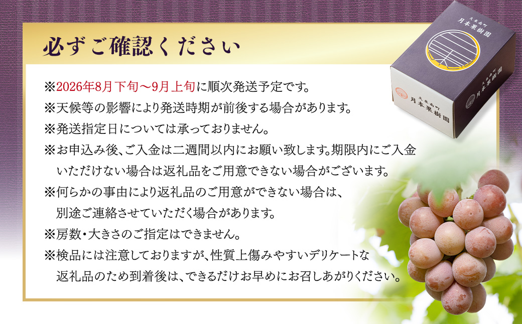 【種なし】 岡山県産 クイーンニーナ 1kg箱（2~3房房入り） 【2026年8月下旬-9月上旬発送予定】 ／ ぶどう ブドウ 葡萄 大粒 種なし 種無し フルーツ 果物 くだもの 果実