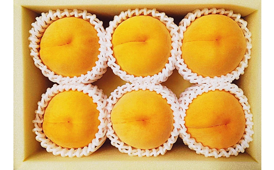 黄金桃 6玉 （1.6kg以上） 化粧箱入り 【2026年8月下旬～9月上旬迄発送予定】 ／ 黄桃 桃 もも 果物 果実 フルーツ 岡山県 美咲町 冷蔵