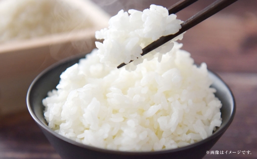 【 令和7年産 】 岡山県産 コシヒカリ 10kg （ 5kg × 2袋 ） お米 米 こめ 白米 白飯 飯 ご飯 おにぎり ブランド米 ブランド 国産 コメ
