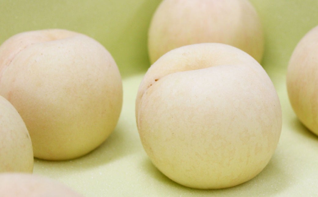 岡山 çœæ¡ 2çš® 2ç ïŒ ãã€ã€ã« ïŒ 500g ïŒ èš 1kg ïŒ ã 2026幎7æäžæ¬ãã9æäžæ¬é çºéäºå® ã ïŒ æç© ãã ãã® ãã«ãŒã ãã æ¡ çã éŠã æããã ãžã¥ãŒã·ãŒ çŸå³ãã 岡山ç çŸå²çº