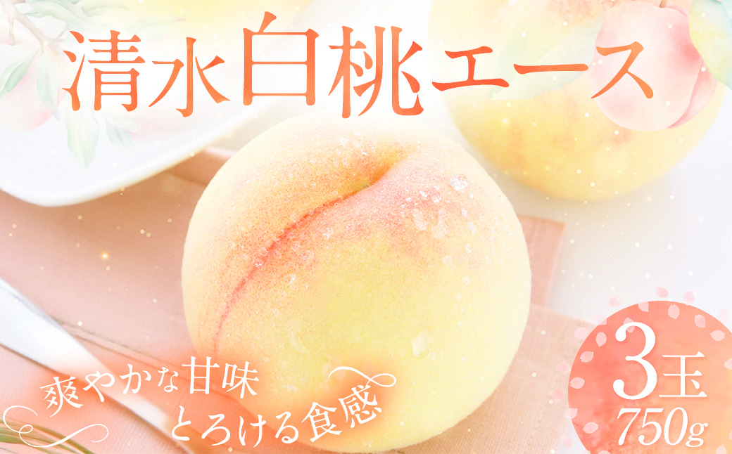 清水白桃 エース 3玉 約750g 【2026年7月上旬～7月下旬発送予定】 ／ 白桃 桃 もも モモ