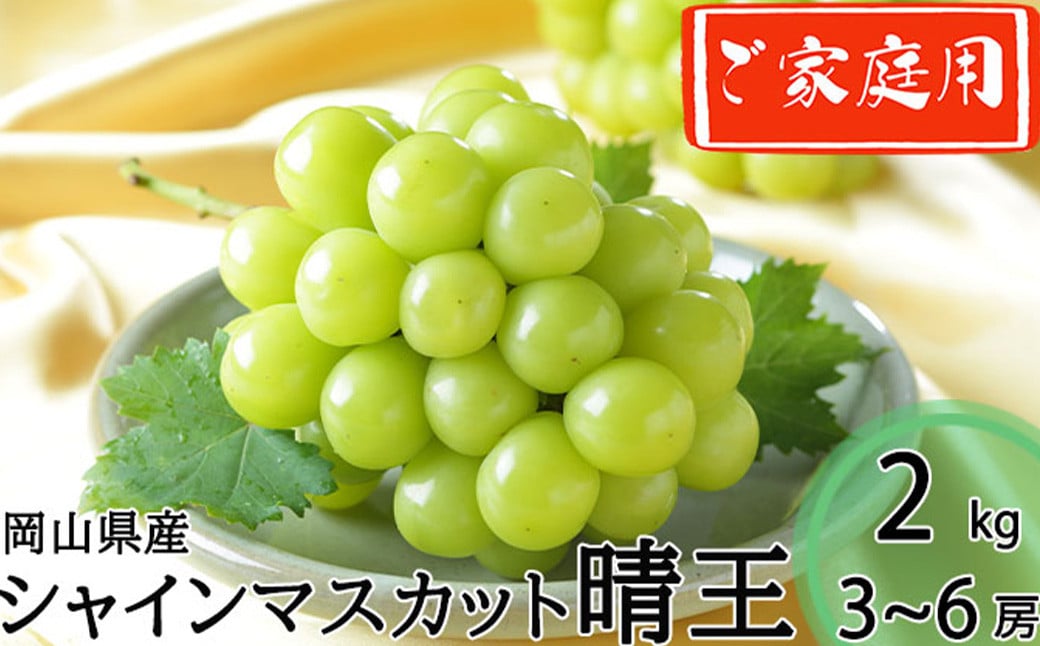 ご家庭用 シャインマスカット 晴王 3～6房 計約2kg 【2026年8月下旬～11月下旬迄発送】 ／ マスカット 葡萄 ぶどう 果物 果実 フルーツ 種なし 皮ごと 大粒 家庭用 岡山県 美咲町 冷蔵