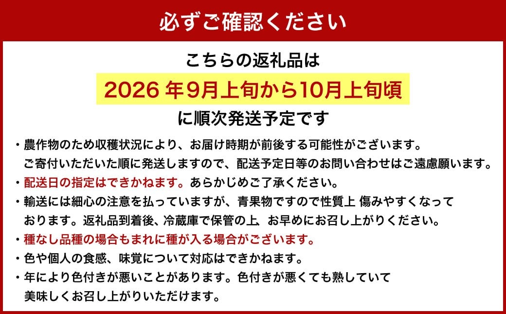 【ご 家庭 用】 ピオーネ 2〜3房 1.2kg 【 2026年9月上旬から10月上旬頃発送予定 】 ／ 果物 くだもの フルーツ ぶどう ブドウ 葡萄 大粒 甘味が強い 甘い 果汁 食べ応え 岡山県 美咲町
